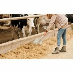 Husky 31 in. Wood Handle D-Grip Plastic Scoop Shovel -Tools Sales husky shovels 77540 945 44 1000